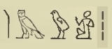 Hieroglyph aamu (pl) EgDict-111